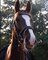 Paardentaxi di Alma