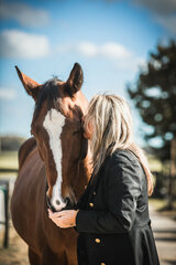 Training-paard-laden